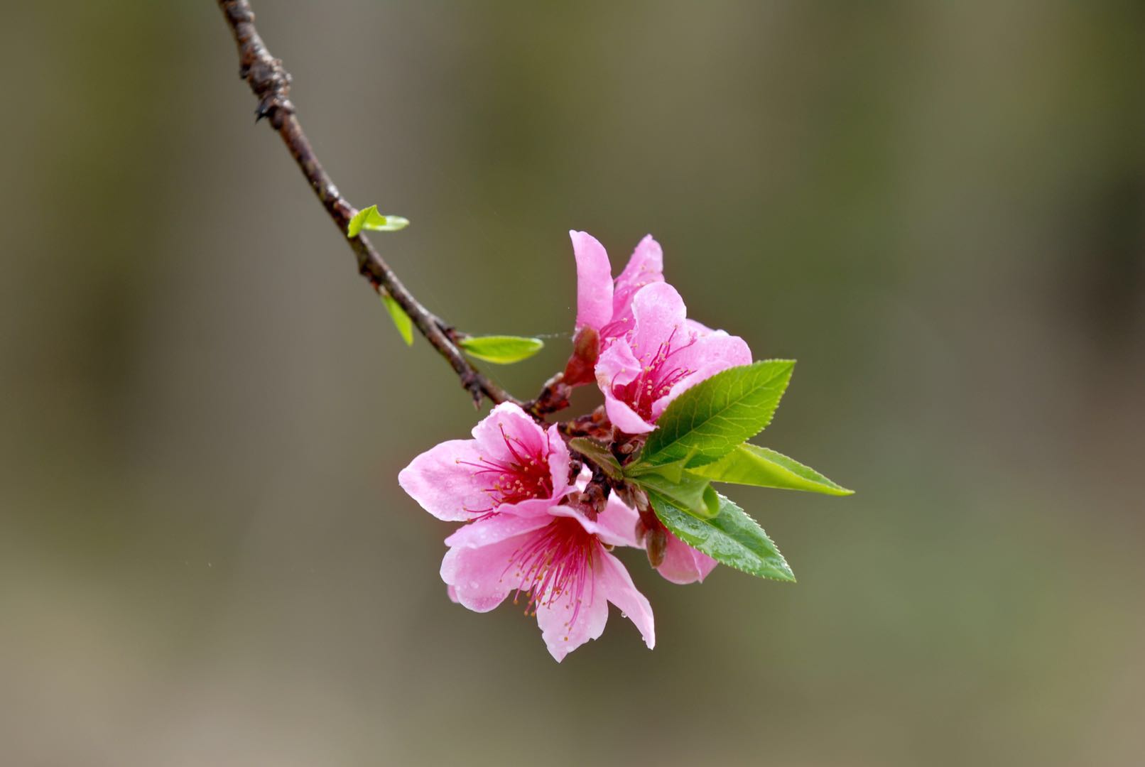 ¡Hola primavera! La línea de producción de Ruilong se reanudó por completo